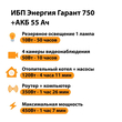 ИБП для котла Энергия Гарант 750 + Аккумулятор 55 Ач 12 В (450Вт - 67мин) - ИБП и АКБ - ИБП для котлов - . Магазин оборудования для автономного и резервного электропитания Ekosolar.ru в Калуге